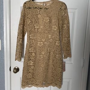 Class tan knee length lace dress with long sleeve and back zipper.